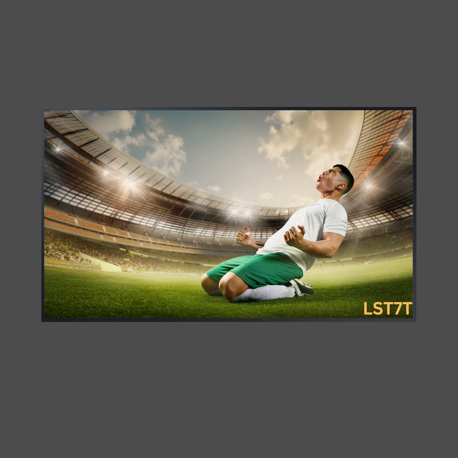 Samsung LST7T Class The Terrace Outdoor QLED 4K UHD HDR Smart TV